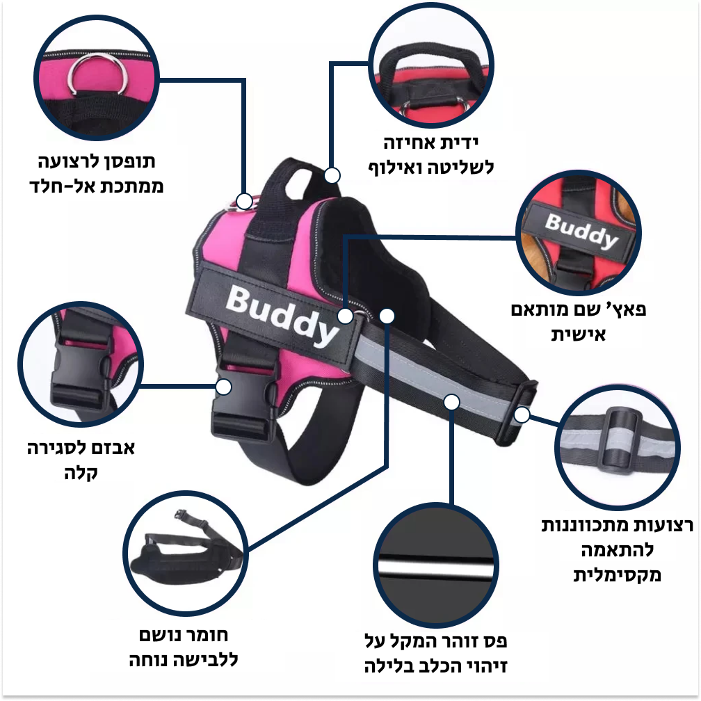 ®HARNY | רתמה גוף לכלבים - בטיחותית ונוחה