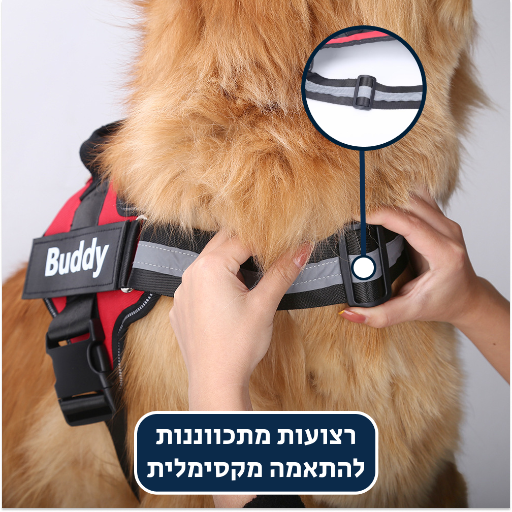 ®HARNY | רתמה גוף לכלבים - בטיחותית ונוחה