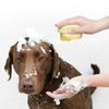 טען תמונה למציג הגלריה, ®BRUSHY | מברשת אמבט עיסוי לכלבים