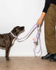 טען תמונה למציג הגלריה, ®WALKY COLLAR KIT | סט קולר רצועה ומתקן שקיות לכלבים