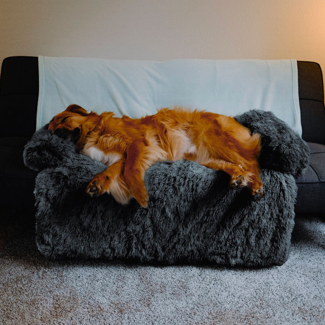 ®SOFA BED | מיטת כלב מפנקת - מגנת ריהוט