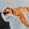 טען תמונה למציג הגלריה, ®SOFA BED | מיטת כלב מפנקת - מגנת ריהוט