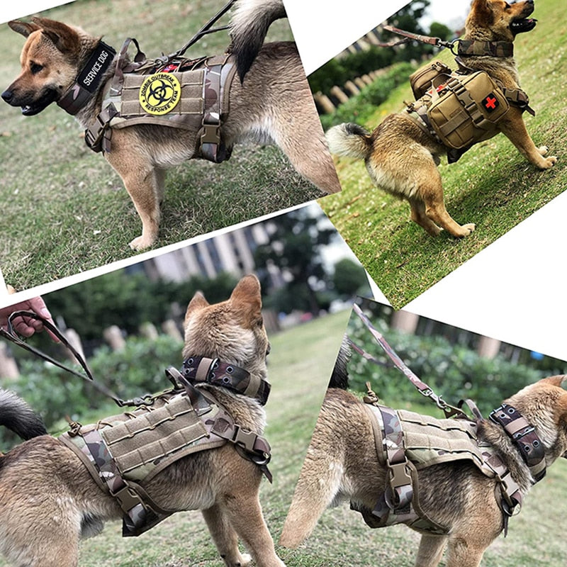 ווסט צבאי לכלב