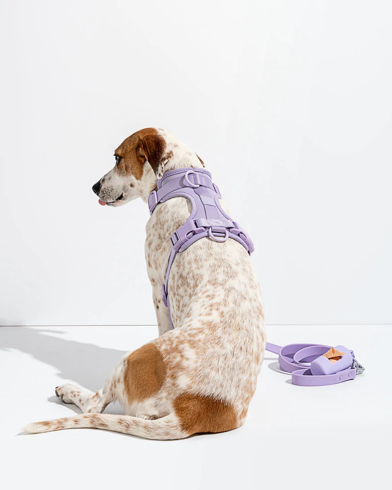 ®WALKY HARNESS KIT | סט רתמה רצועה ומתקן שקיות לכלבים