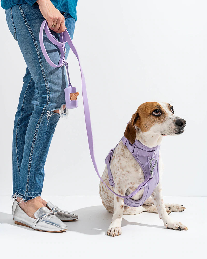 ®WALKY HARNESS KIT | סט רתמה רצועה ומתקן שקיות לכלבים