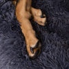 ®Doggy | מיטה מפנקת פלאפי מיטה לכלב DOGGY 